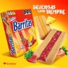 Galletas Barritas Marinela con 48 paquetes